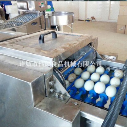 蛋制品清洗機
